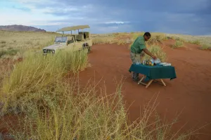 Namibia Prints: Safari