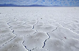 Salt Flat