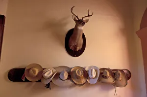 Latin America Prints: Sombrero