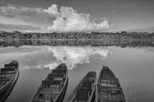 Scenic Prints: Napo