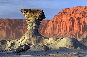 Desert Prints: Rock
