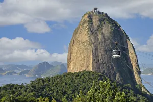 Latin America Prints: Rio