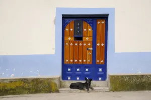 Architecture Prints: Dog