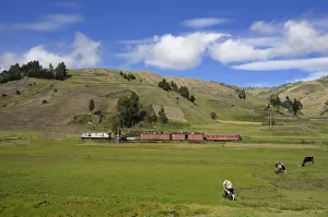 People Prints: Train
