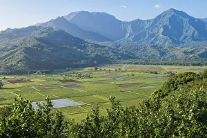 Landscape Prints: Kauai