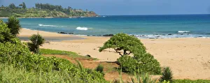 Landscape Prints: Kauai