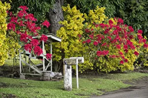 Hawaii Prints: Maui