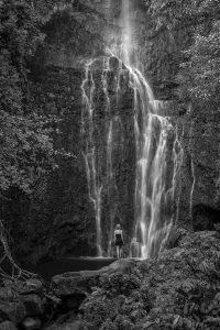 Hawaii Prints: Maui
