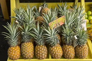 Hawaii Prints: Maui