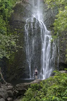 Hawaii Prints: Maui