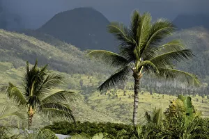Landscape Prints: Maui