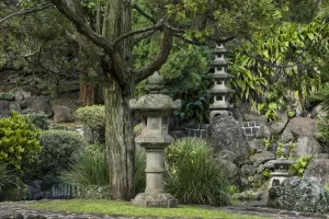 Culture Prints: Maui