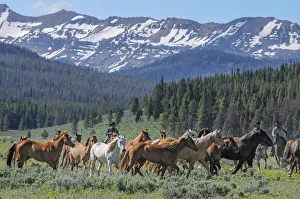 American West Prints: Ranch