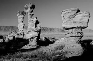 Desert Prints: Valle Fertil