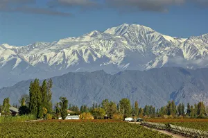 Argentina Prints: Andes