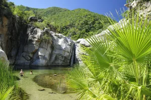 Water Prints: Waterfall