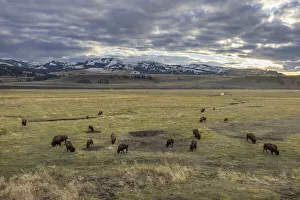 American West Prints: Wyoming