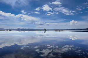 Yellowstone