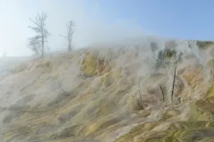 American West Prints: Yellowstone